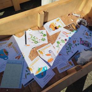 W pustej skrzyni do sadzenia roślin leżą kartki z grafikami i edukacyjnymi informacjami na temat marchewek