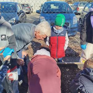 Uczestnik ŚDS wraz z przedszkolakami rozpoczynają proces sadzenia
