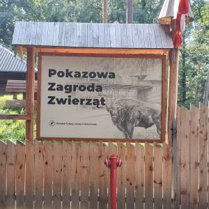Drewniana tablica informacyjna z zadaszeniem i napisem „Pokazowa Zagroda Zwierząt” oraz grafiką przedstawiającą żubra, umieszczona nad drewnianym płotem z czerwonym hydrantem w Gołuchowie. W dole szyldu widnieje podpis Ośrodka Kultury Leśnej w Gołuchowie, a w tle widać zadaszone drewniane wiaty i leśne drzewa. Zdjęcie dokumentuje wejście do zagrody żubrów odwiedzonej podczas wspólnej wycieczki integracyjnej uczestników Dziennego Domu „Senior-Wigor” w Swarzędzu oraz Środowiskowego Domu Samopomocy.   