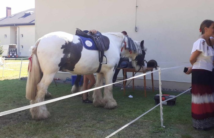 Zdjęcie przedstawia konia w białą i brązową łatkę, osiodłanego i gotowego do jazdy. Obok stoją kobiety w letnich strojach, jedna z nich w długiej spódnicy w kolorach białym, czerwonym i czarnym. Sceneria to trawiaste podwórko przy jasnym budynku, w tle rzędy białych krzeseł